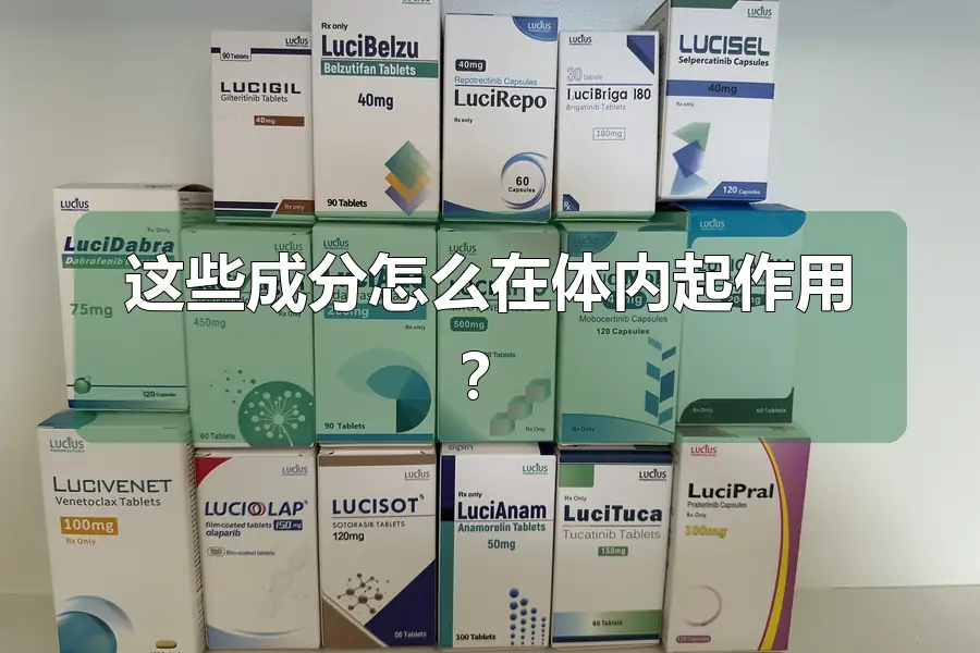 这些成分怎么在体内起作用？